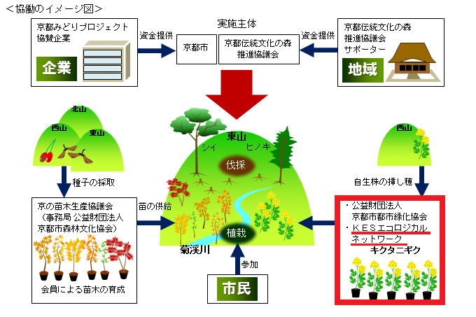 協働のイメージ図