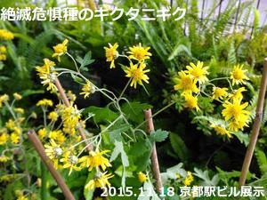 環境マネジメントセミナ開催のお知らせ  ～まだ申込間に合います～