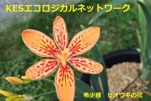 2016年度・KESエコロジカルネットワークについて
