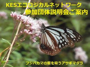 【終了】KESエコロジカルネットワーク・説明会のお知らせ