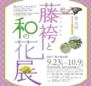 『藤袴と和の花展』のごあんない