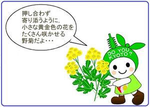 「キクタニギクの花咲く菊渓の森づくり」にKESエコロジカルネットワークも協力します
