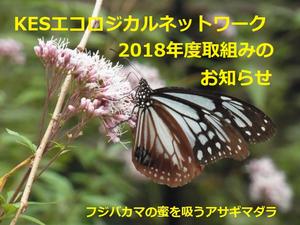 【申込終了】KESエコロジカルネットワーク　2018年度取組み内容のお知らせと参加申し込みご案内