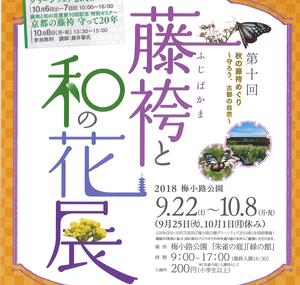 【終了】「藤袴と和の花展」のご案内（KESエコロジカルネットワーク情報）