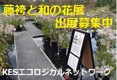 【終了】「藤袴と和の花展」への出展を募集します