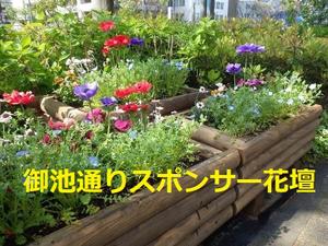 京都市みどり政策推進室からの参加募集のお知らせ