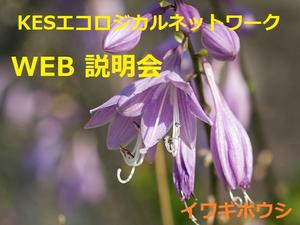 【KESエコロジカルネットワーク】ＷＥＢ説明会＜説明動画・資料公開＞
