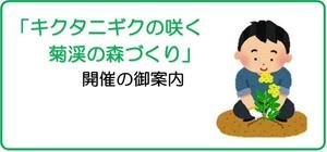 「キクタニギクの咲く菊渓の森づくり」開催のご案内