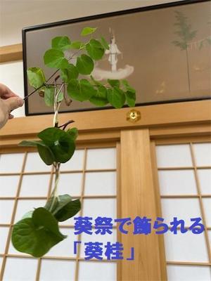 【NEW】（一財）葵プロジェクト様から感謝状を贈られました