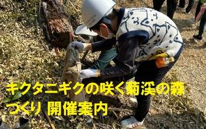 【NEW】[KESエコロジカルネットワーク]「キクタニギクの咲く菊渓の森づくり」開催の御案内