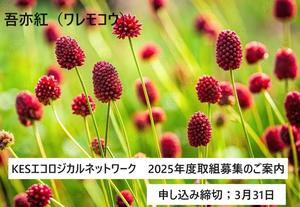 【NEW】ＫＥＳエコロジカルネットワーク　２０２５年度 取組み募集　