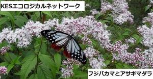 【KESエコロジカルネットワーク】2025年度説明資料を公開します