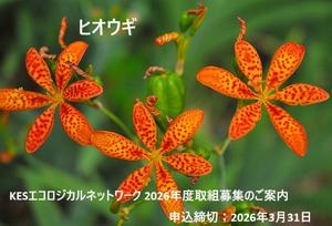 【NEW】ＫＥＳエコロジカルネットワーク　２０２６年度 取組み募集　